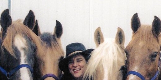 AmyStewartCSP's profile banner image