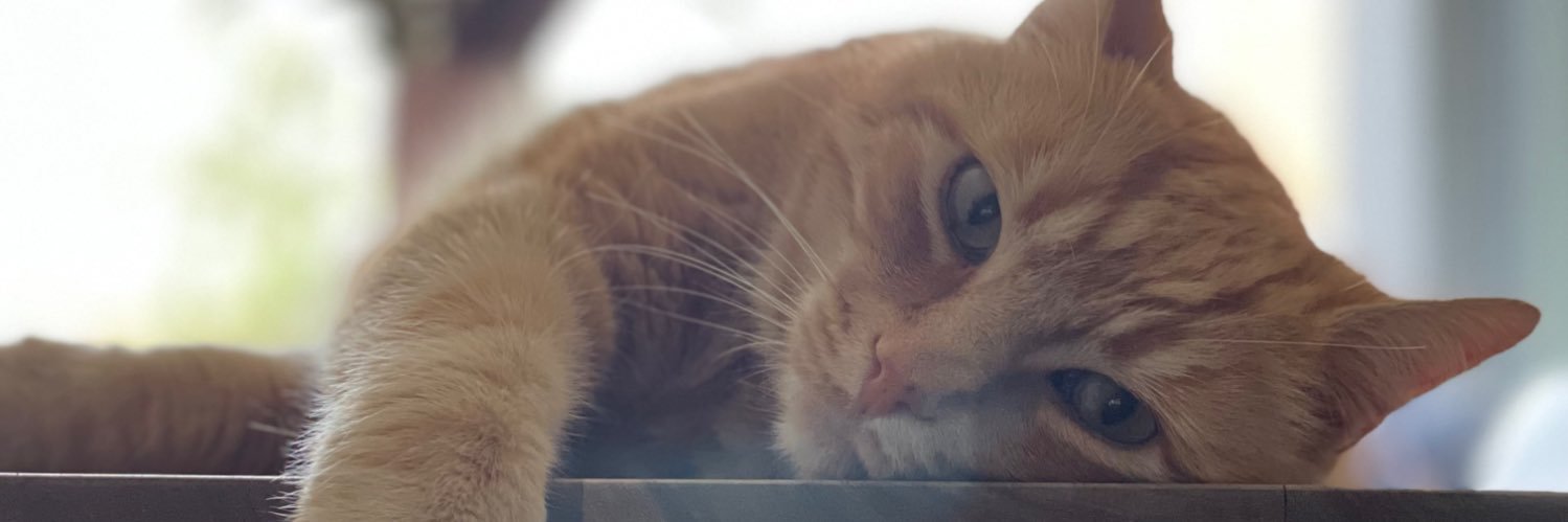 vbaert's profile banner image