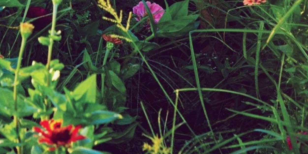 Im_katycat's profile banner image