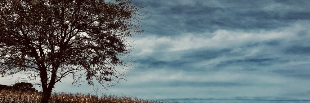 rochicingolani's profile banner image