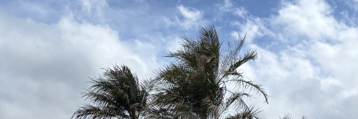 3300f4if's profile banner image