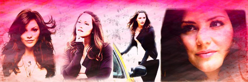 StubbornMortal's profile banner image
