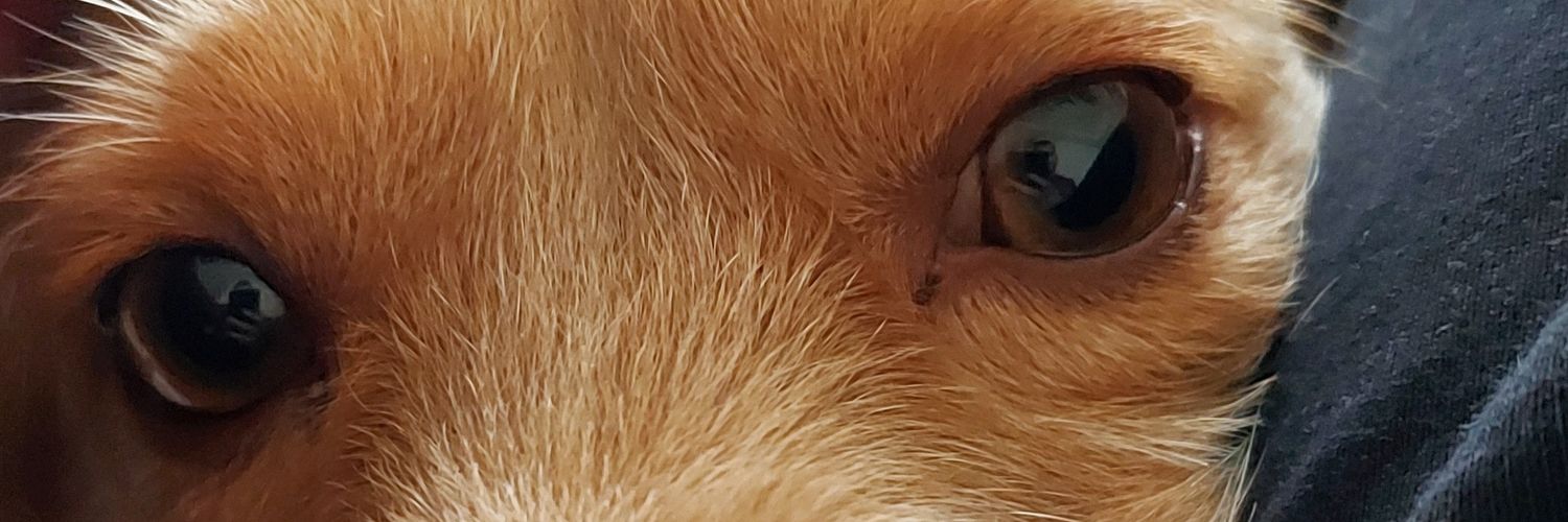 melenetomas's profile banner image