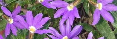 ValerinaIT's profile banner image