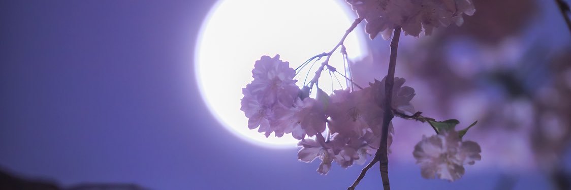 rao216's profile banner image