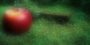 Apple__sama_'s profile banner image