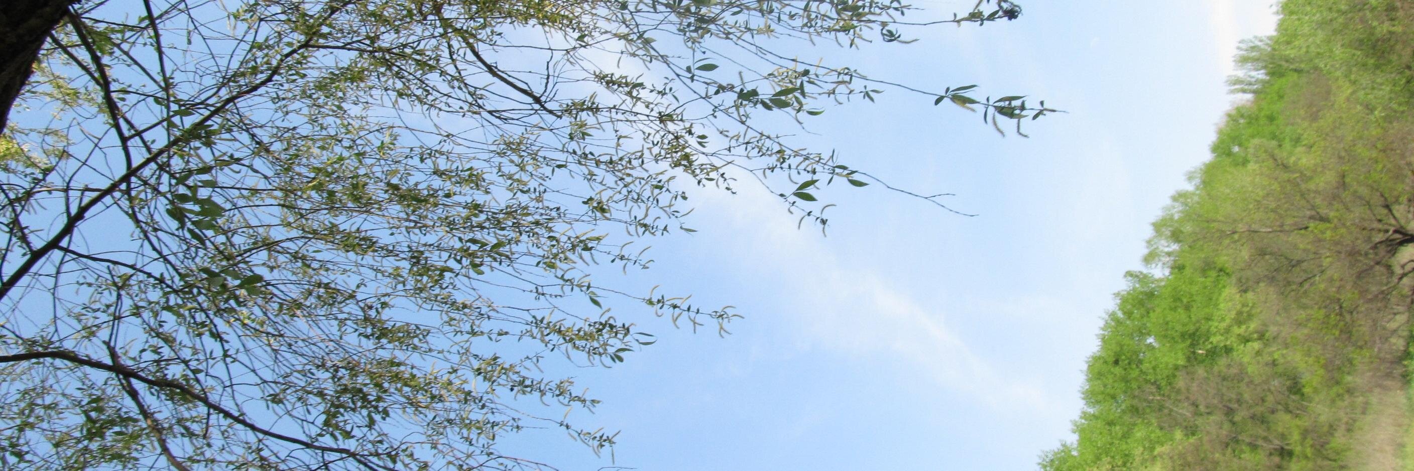 zaplatio's profile banner image