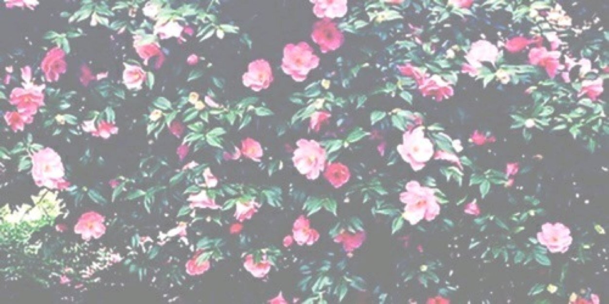 Madison_ALLgdr's profile banner image