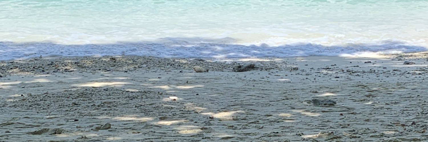 FonPitcha's profile banner image