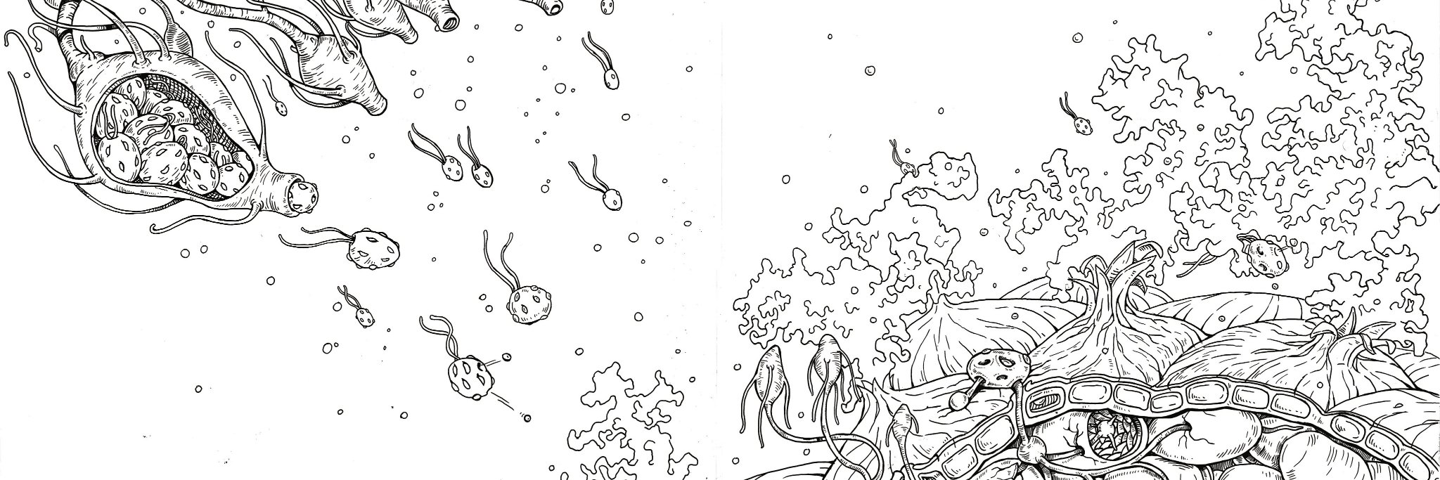 xiaolin422's profile banner image