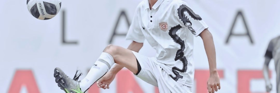 aanpdf's profile banner image