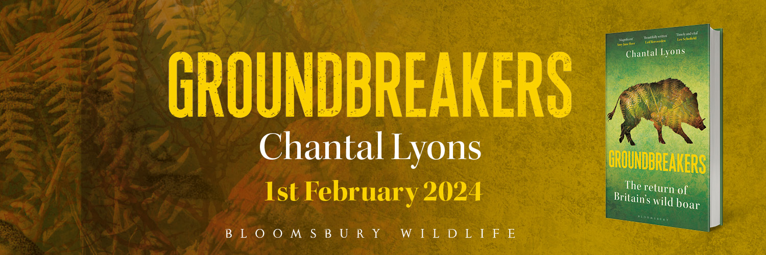 Chantal Lyons banner