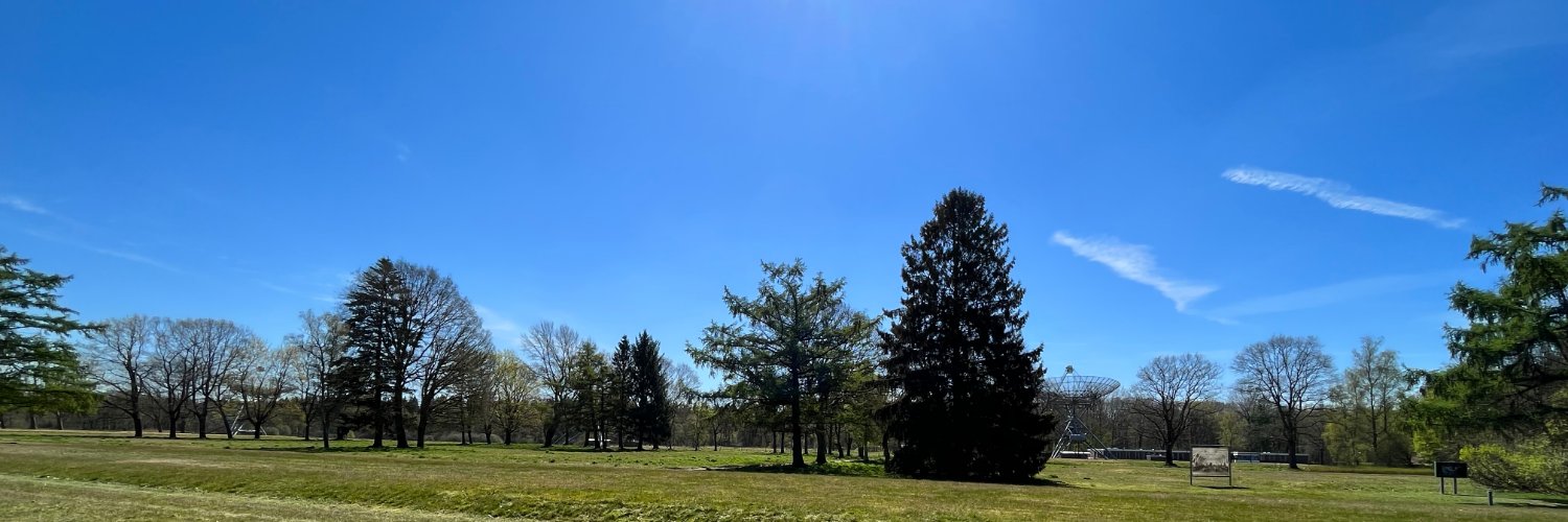 René de Vries banner