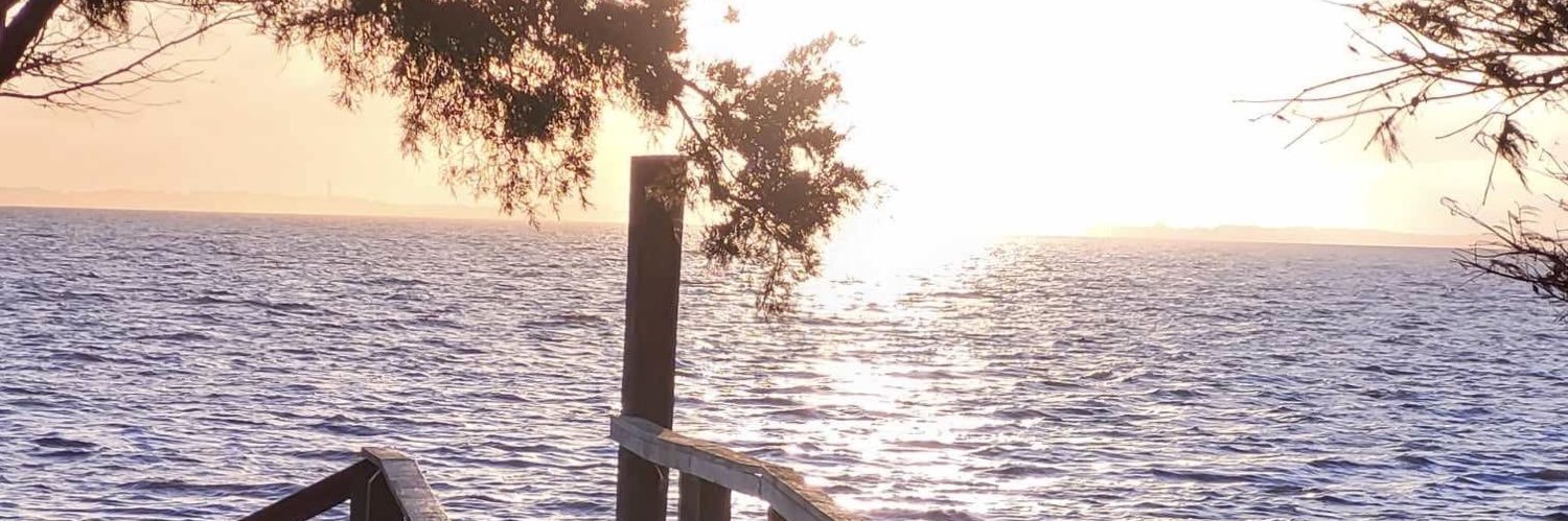 cartmill's profile banner image