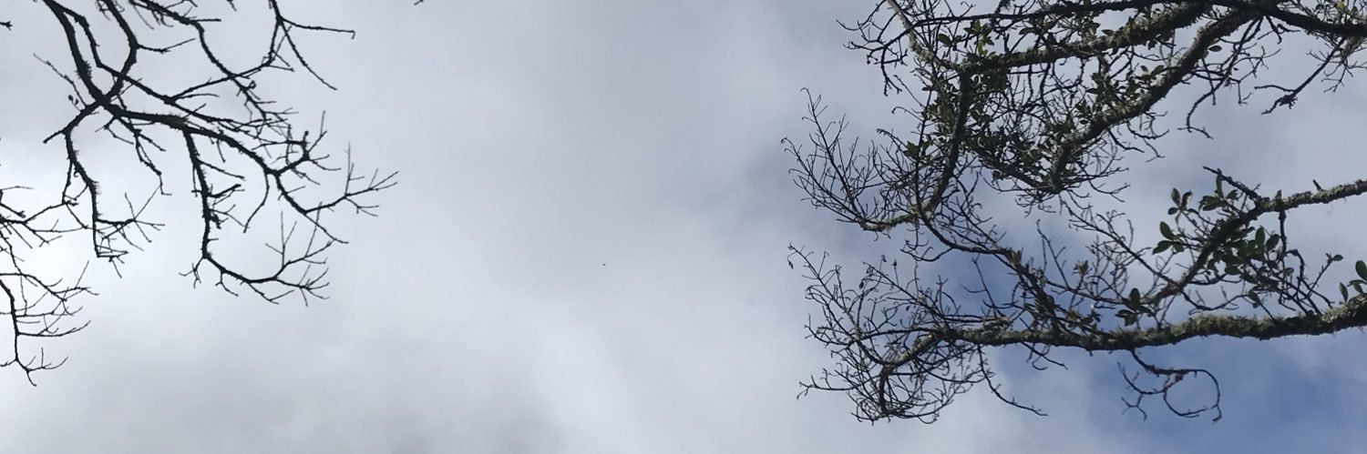 tandi_28's profile banner image