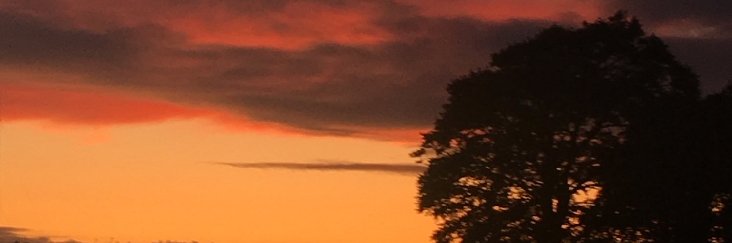 sullyclo's profile banner image