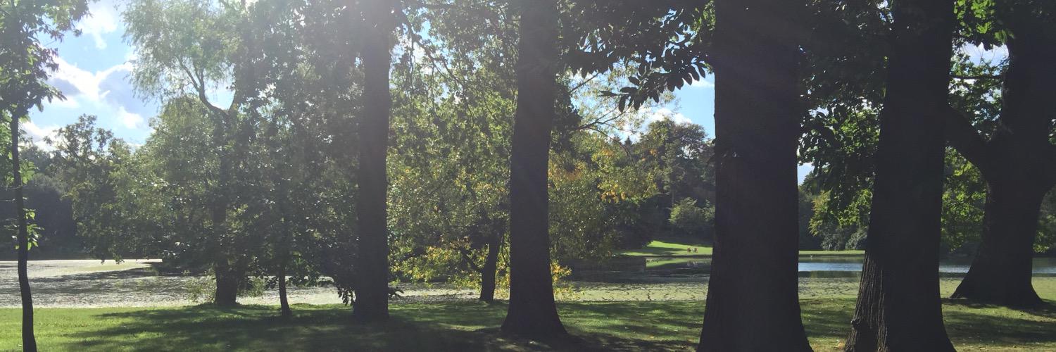 SuzyLJDoyle's profile banner image
