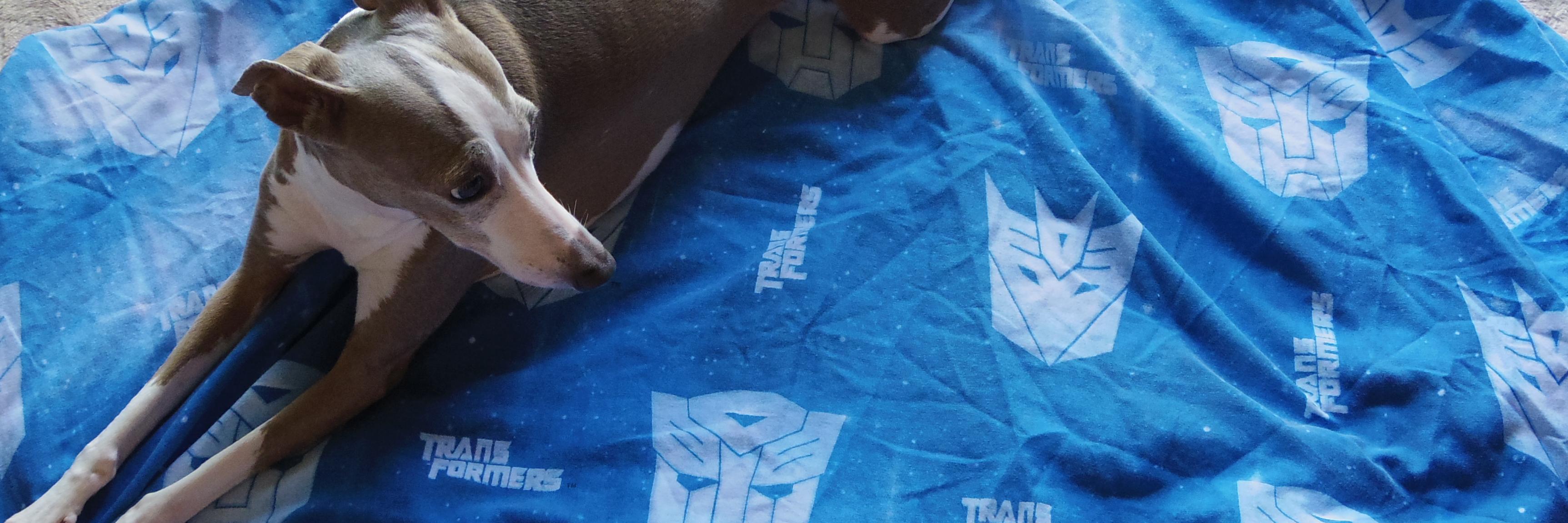 zzrbee's profile banner image
