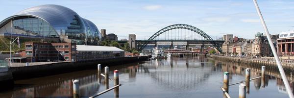 davidrholton Profile Banner