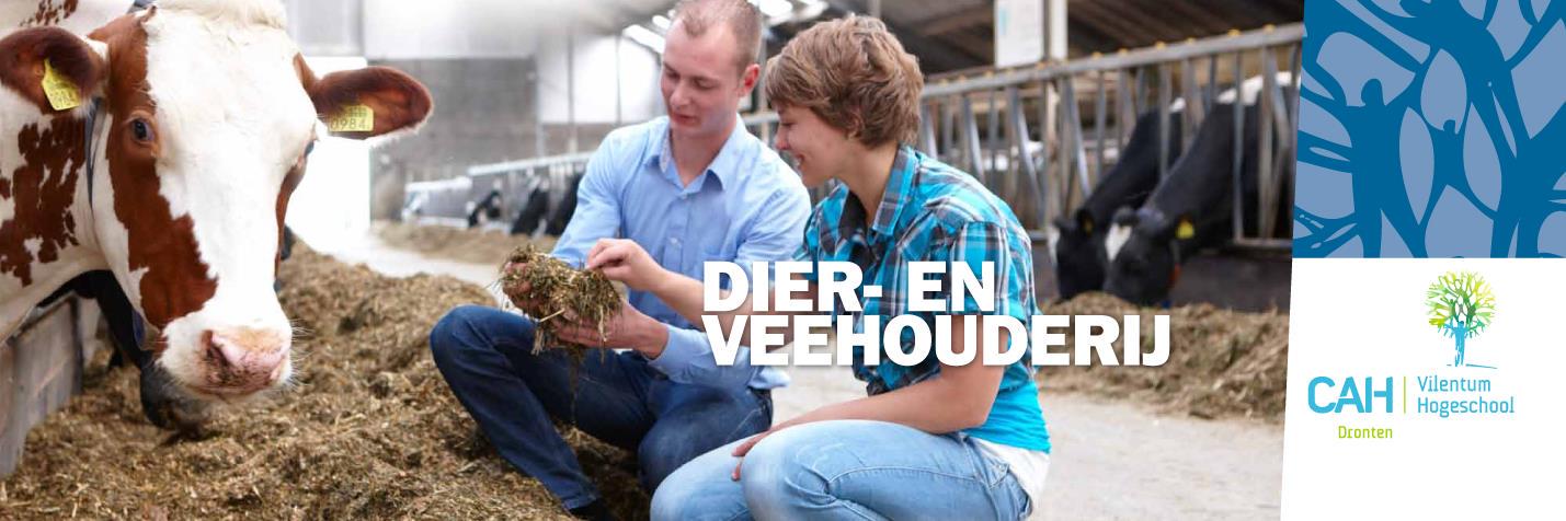 CAH_DierEnVee's profile banner image