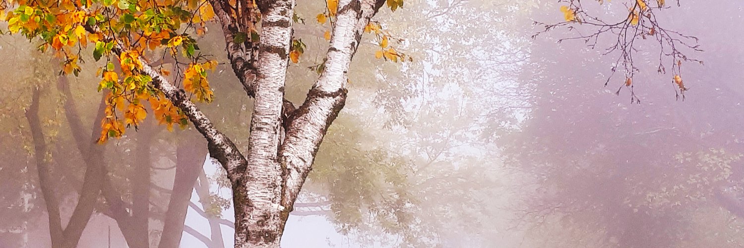 t_armstrong7's profile banner image