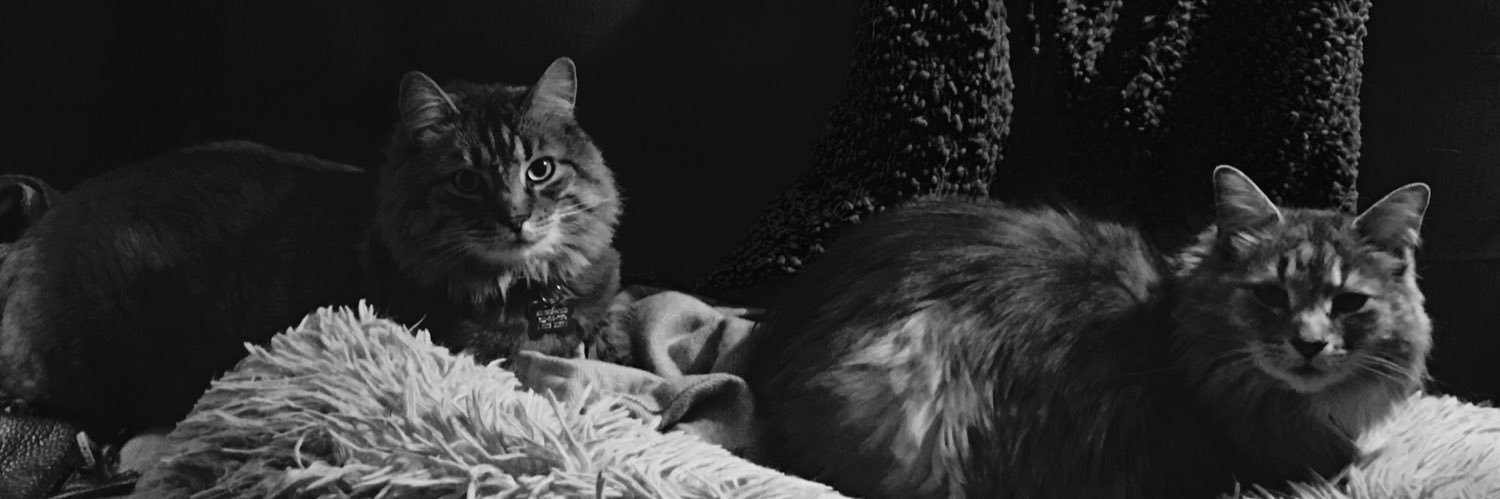 5 Pound Bass Pro Shop Pyramid Scheme banner