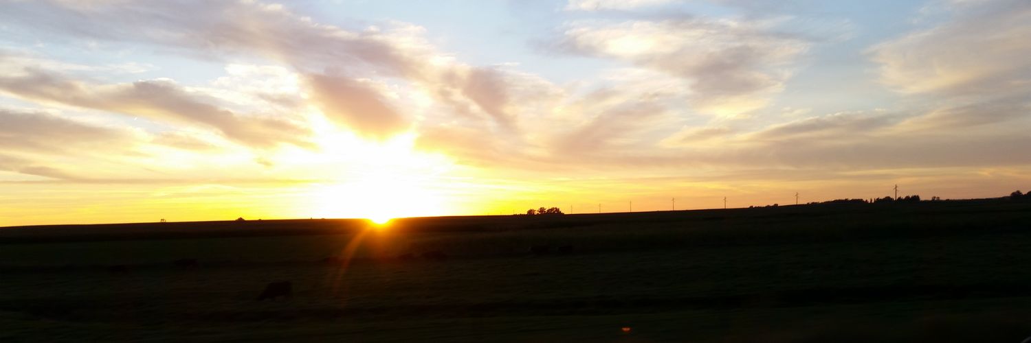 MalloryKetcham's profile banner image
