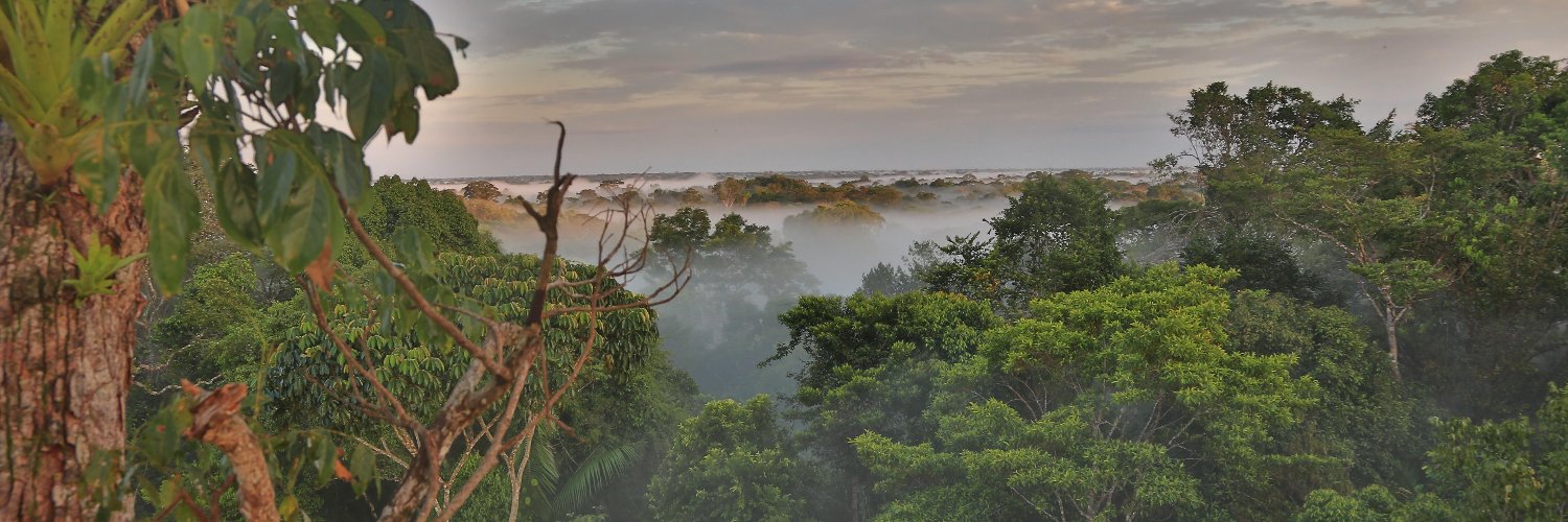TREE Foundation banner