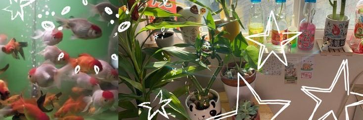 𝘂𝗸𝗶𝘆𝗼 ꔛ ⋆ ˚｡⋆ banner