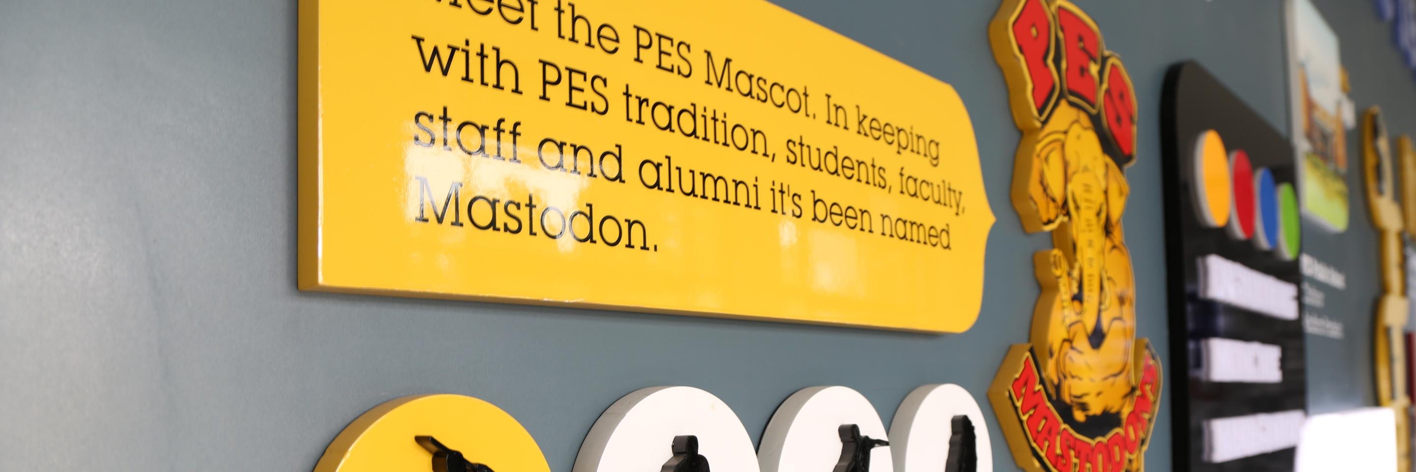 PES University banner