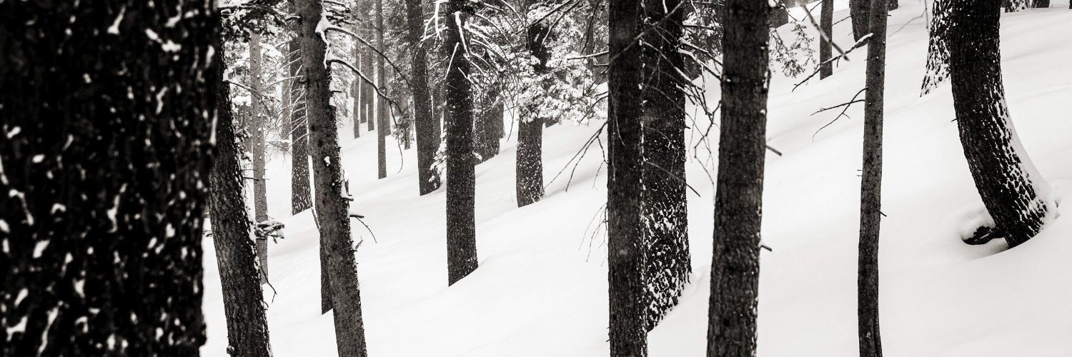 kimberlyovitz's profile banner image