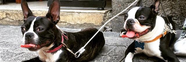 Gib_Malrostro's profile banner image