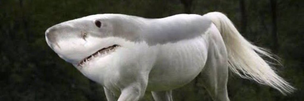 nymphhhx's profile banner image