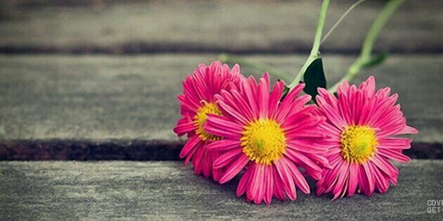 ascensionygroup's profile banner image