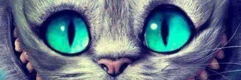SadraLomba's profile banner image