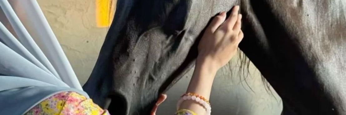 شــموخ's banner