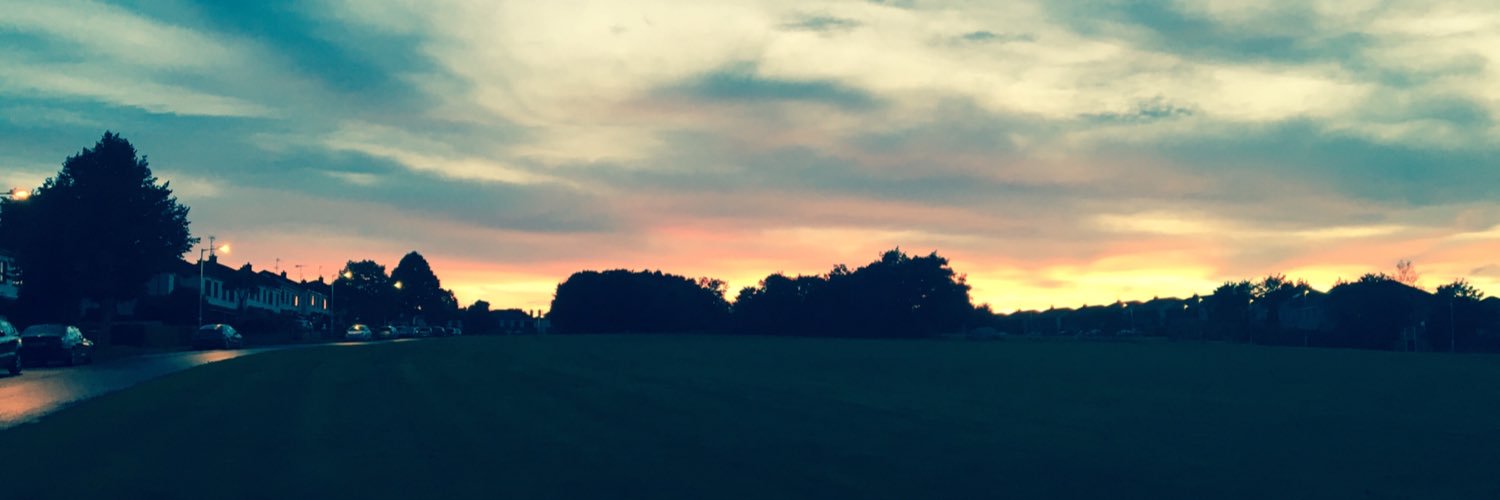thechiefotter's profile banner image