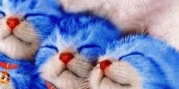 loreaalbers's profile banner image