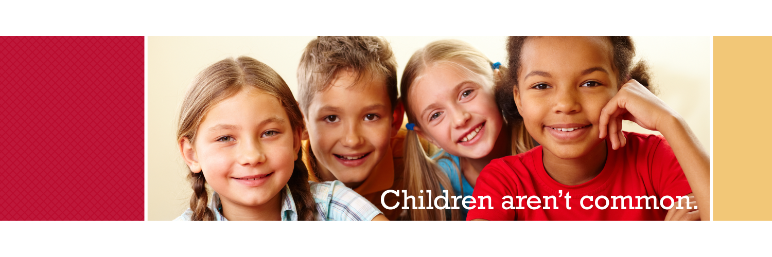 StopCommonCoreNC banner