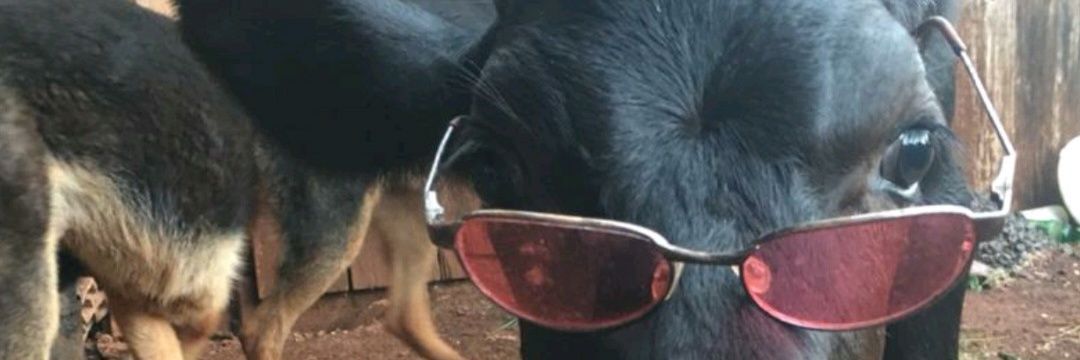 Carlosbogo's profile banner image