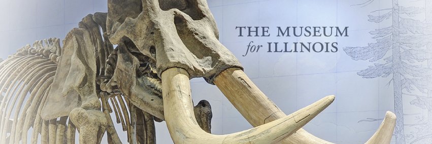 Illinois State Museum banner