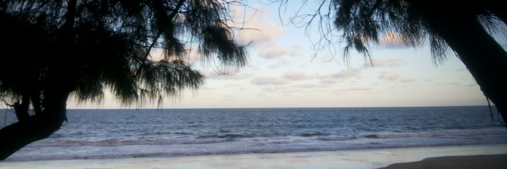 reginalbraga's profile banner image