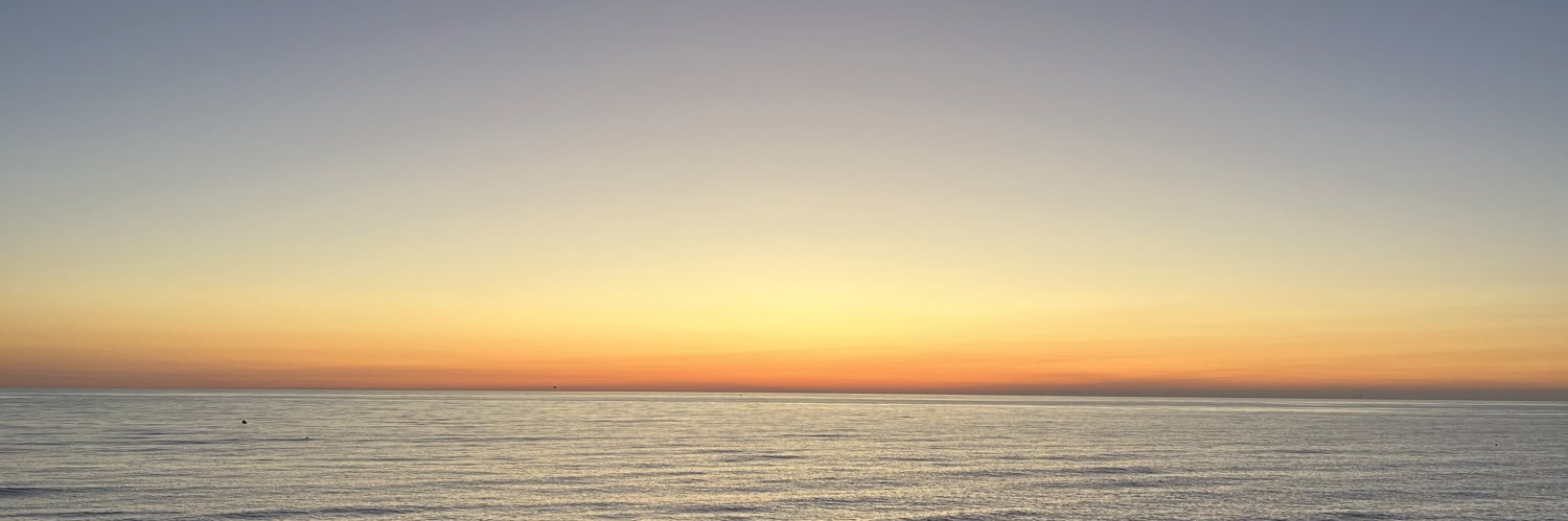 RoseeAxel's profile banner image