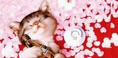 anpear0703's profile banner image