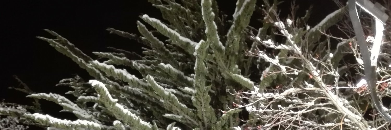 CaroliNovoa's profile banner image