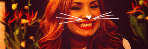 ddlovatofcj's profile banner image