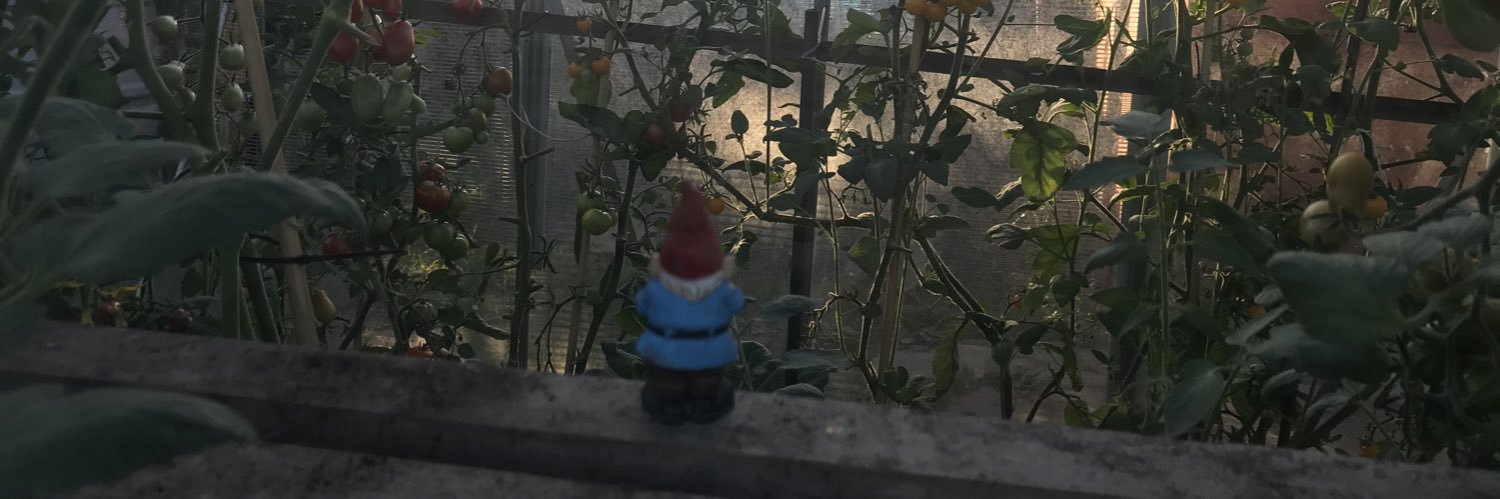 timdalton912's profile banner image