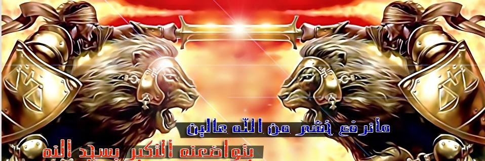 حسنين عادل banner