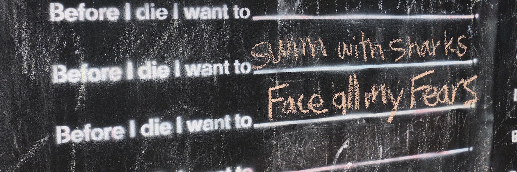 TAMFTinfo's profile banner image