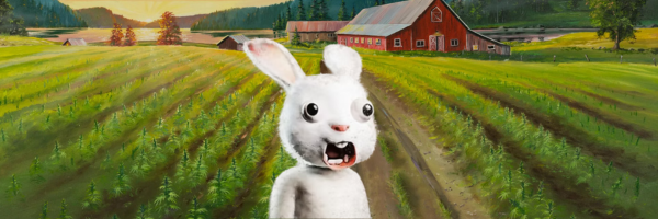 Rabbitcoin banner